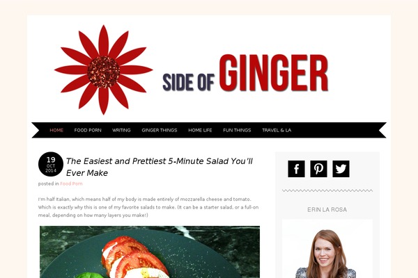 Adelle theme site design template sample