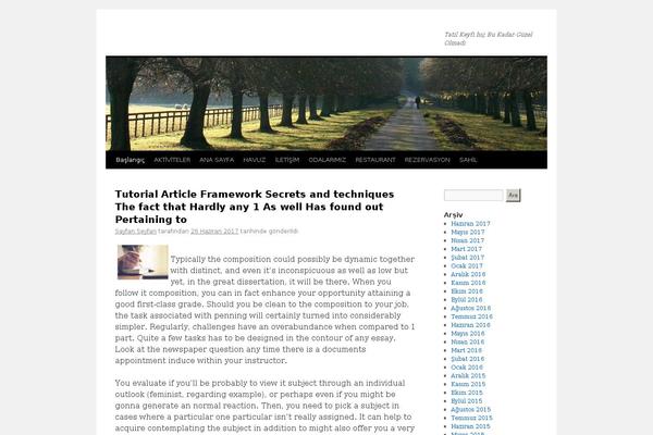 Site using WP Orbit Slider plugin