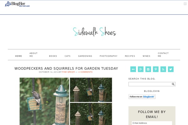 Seasonedpro-v444 theme site design template sample