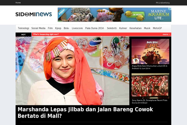 NewsPaper theme site design template sample