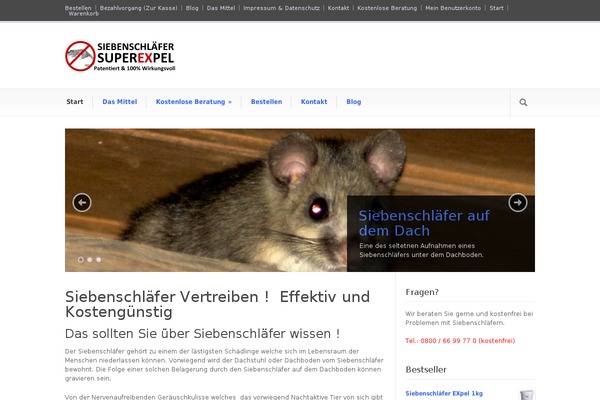 Modernize v3.11 theme site design template sample