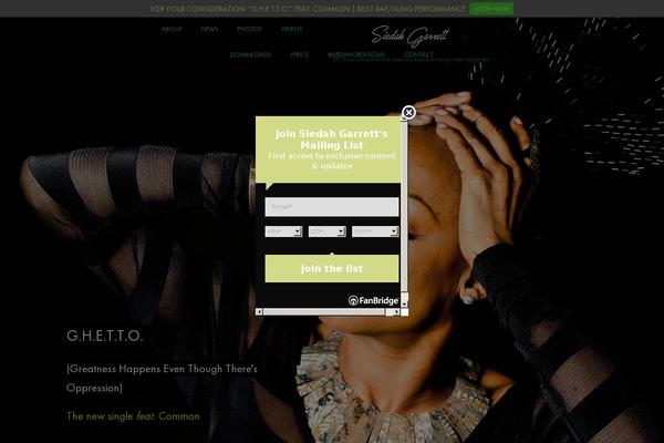 Optimizer_pro theme site design template sample