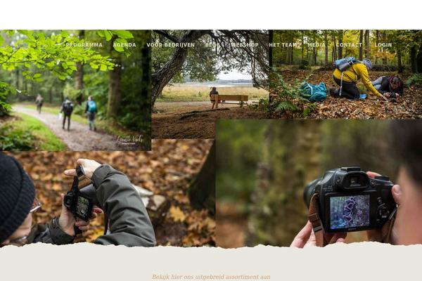 Baristawp-child theme site design template sample