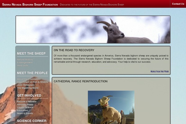 Adventure theme site design template sample