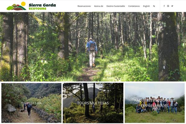 Enfold theme site design template sample