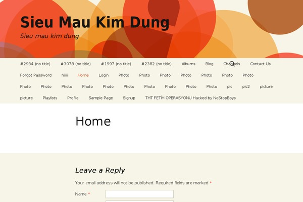 Social_play theme site design template sample