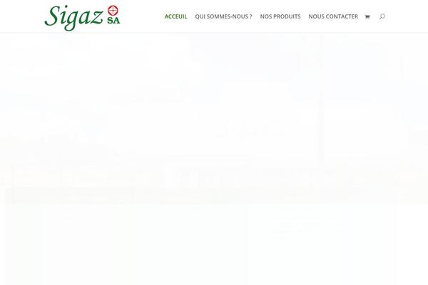 Divi theme site design template sample