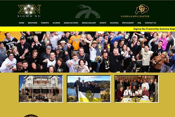 Professional theme site design template sample