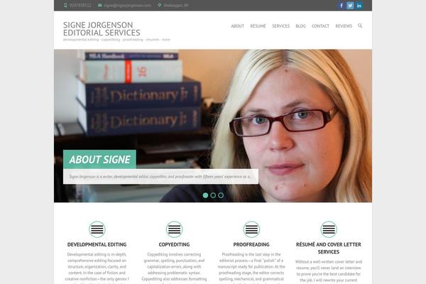 Interface theme site design template sample