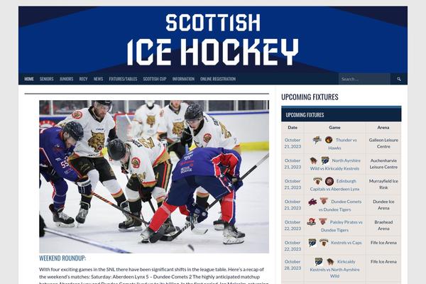 Rookie theme site design template sample