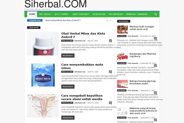 NewsMag theme site design template sample