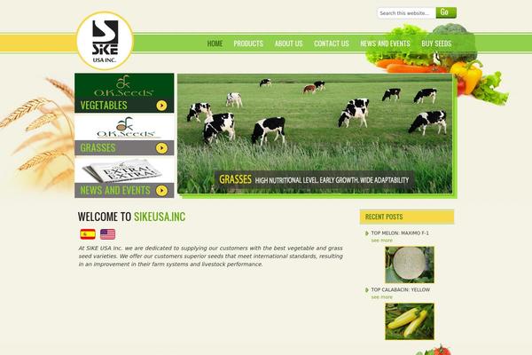 Lifestyle 1.0 theme site design template sample