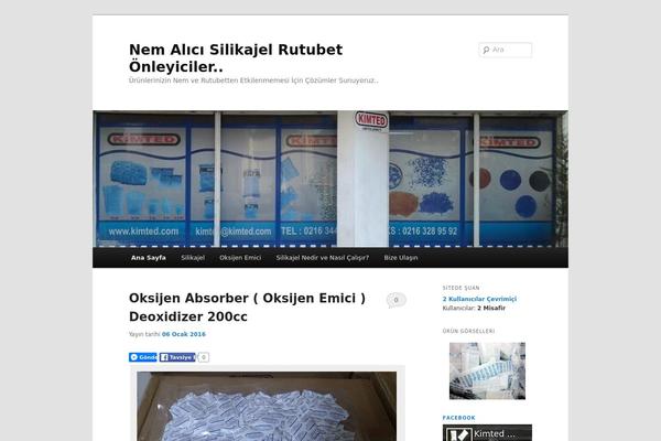 Twenty Eleven theme site design template sample