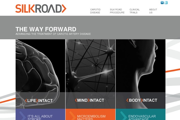 Silk theme site design template sample