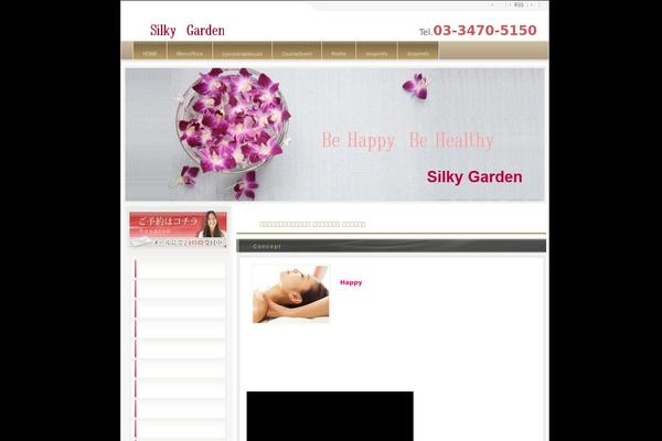 Site using All in One SEO Pack plugin