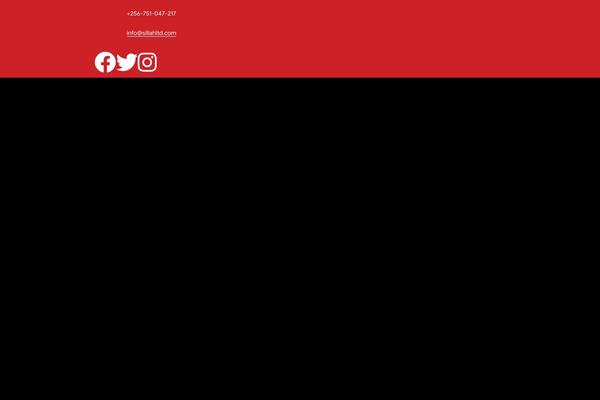 Shopic-child theme site design template sample