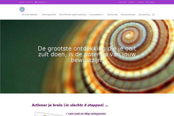 Site using Easy FancyBox plugin