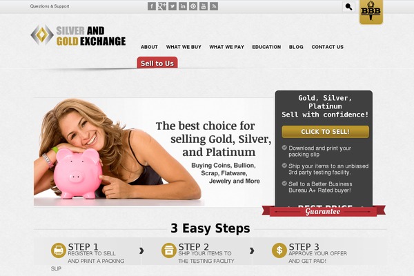 sge theme websites examples