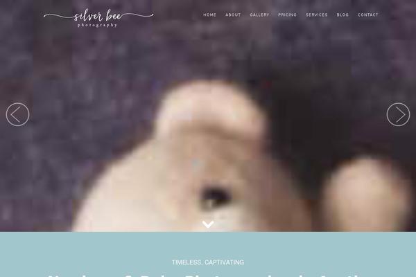 silverbeephotography.com site used Rokophoto