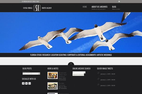 Radial theme site design template sample
