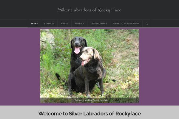 X Child theme site design template sample