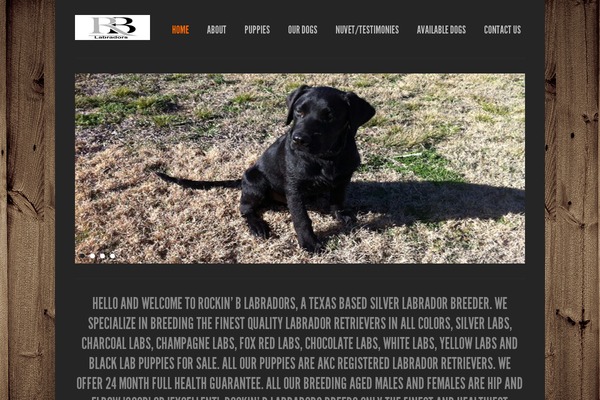 silverlabradorstexas.com site used Purity