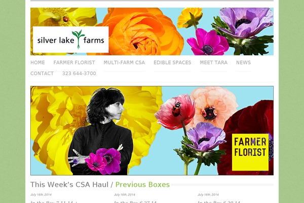 Airwp theme site design template sample