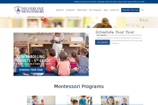 silverlinemontessori.com site used Brightvessel