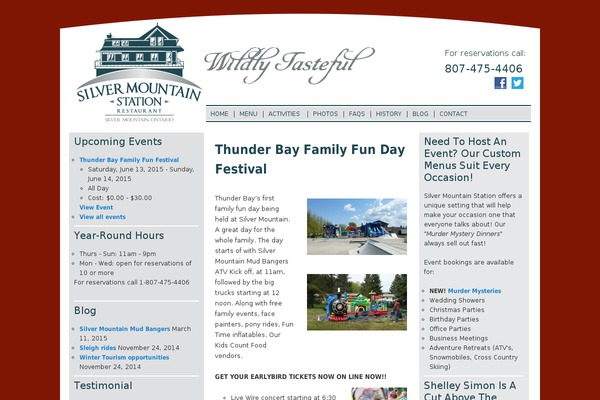 SilverMountain theme websites examples