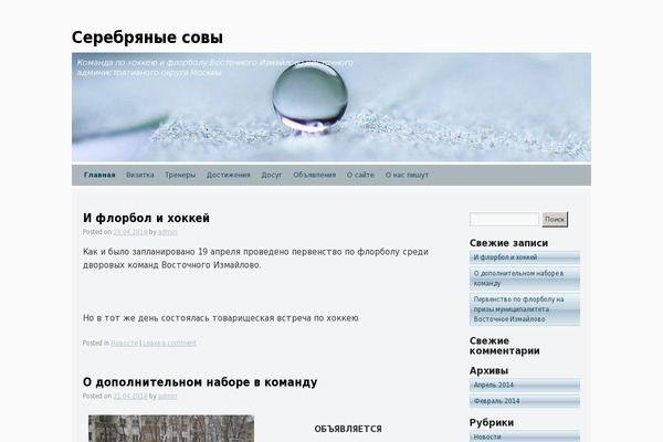 Silver Spot theme site design template sample