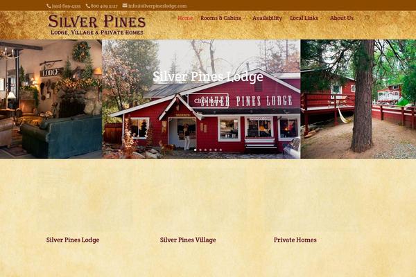 Divi Child theme site design template sample