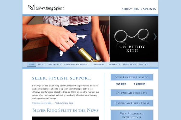 SRS theme websites examples