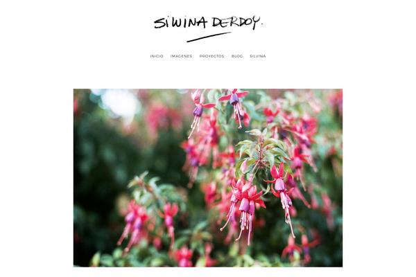 silvinaderdoy.com site used Photographer-wp