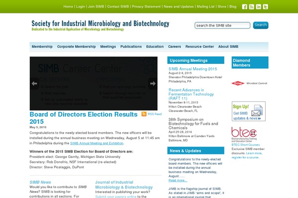 Sim theme site design template sample