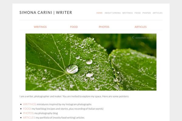 Sketch theme site design template sample