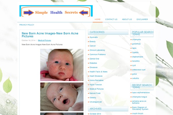 Site using Expanding Archives plugin