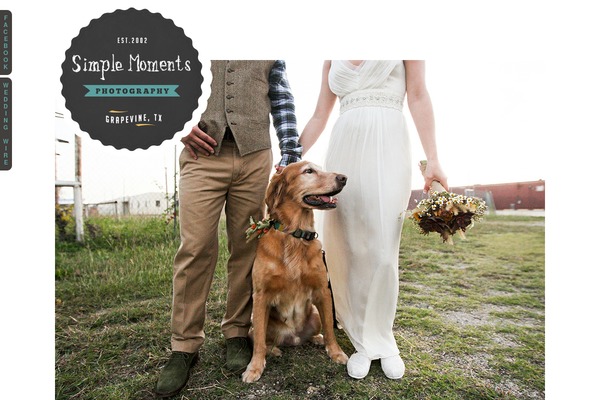 ProPhoto 5 theme site design template sample