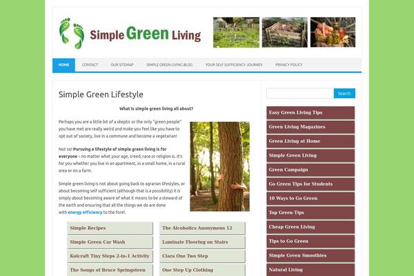 Iconic One theme site design template sample