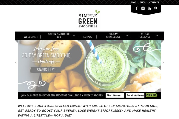 Merchant website example screenshot