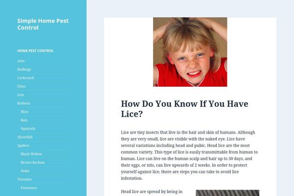 Twenty Fifteen theme site design template sample