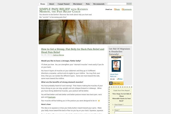 Misty Look theme site design template sample