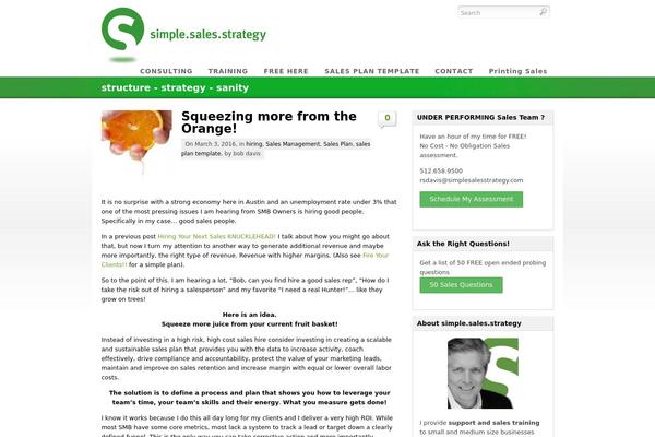 simplesalesstrategy.com site used Eco
