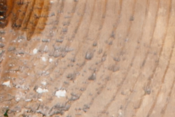 Divi theme site design template sample