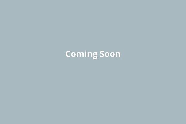 Twenty Fifteen theme site design template sample