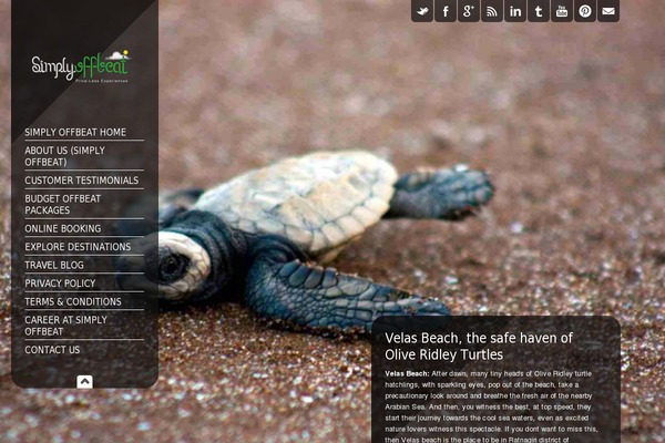 BookYourTravel theme site design template sample