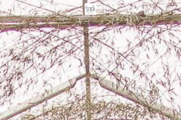 Site using Theaisle-core plugin