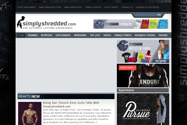 Site using Media-ace plugin