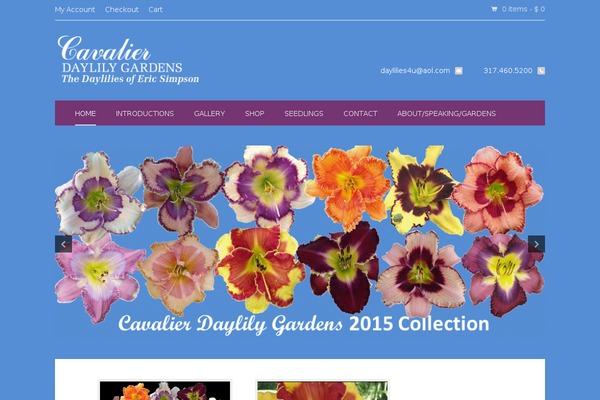 simpsondaylily.net site used Fancytheme