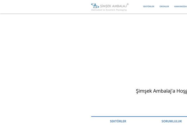 Success theme site design template sample