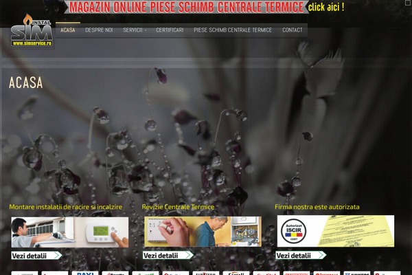 Drive theme site design template sample